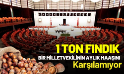 1 Ton Fındık Bir Milletvekilinin Aylık Maaşını Karşılamıyor