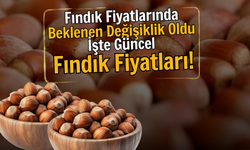 Fındık Fiyatlarında Beklenen Değişiklik Oldu: İşte Güncel Fındık Fiyatları!