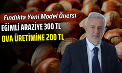 Fındıkta Yeni Model Önerisi: Eğimli Araziye 300 TL, Ova Üretimine 200 TL