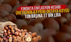 Fındıkta Enflasyon Hesabı Üreticinin Kaybını Ortaya Koydu: Ton Başına 77 Bin Lira