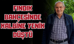Fındık Bahçesinde Kalbine Yenik Düştü