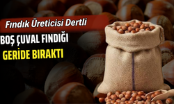 Fındık Üreticisi Dertli: Boş Çuval Fındığı Geride Bıraktı