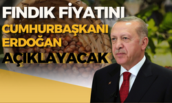 Fındık Fiyatını Cumhurbaşkanı Erdoğan Açıklayacak