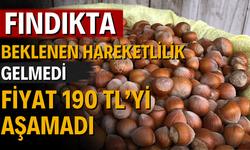 Fındıkta Beklenen Hareketlilik Gelmedi: Fiyat 190 TL’yi Aşamadı