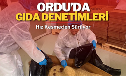 Ordu’da Gıda Denetimleri Hız Kesmeden Sürüyor