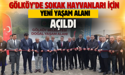 Gölköy’de Sokak Hayvanları İçin Yeni Yaşam Alanı Açıldı