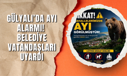 Gülyalı’da Ayı Alarmı! Belediye Vatandaşları Uyardı