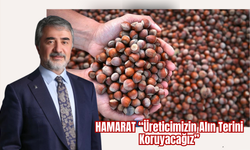 Mustafa Hamarat’tan Fındık Fiyatı Değerlendirmesi: “Üreticimizin Alın Terini Koruyacağız”