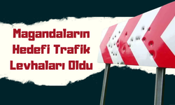 Magandaların Hedefi Trafik Levhaları Oldu