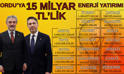 Milletvekili Hamarat Duyurdu: Ordu’ya 15 Milyar TL’lik Enerji Yatırımı