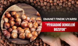 Emanet Fındık Uyarısı “Piyasadaki Dengeleri Bozuyor”
