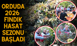 Ordu’da 2026 Fındık Hasat Sezonu Başladı