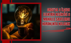 Ordu’da 3 İlçede Elektrik Kesintisi: 6 Mahalle Saatlerce Karanlıkta Kalacak
