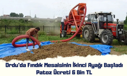 Ordu’da Fındık Mesaisinin İkinci Ayağı Başladı: Patoz Ücreti 6 Bin TL