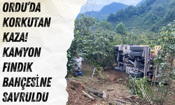 Ordu’da Korkutan Kaza! Kamyon Fındık Bahçesine Savruldu
