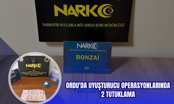 Ordu'da Uy*şturucu Operasyonlarında 2 Tutuklama