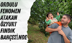 Ordulu Fenomen Atakan Özyurt Fındık Bahçesinde