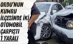 Ordu’nun Kumru İlçesinde İki Otomobil Çarpıştı: 1 Yaralı
