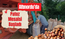 Altınordu’da Patoz Mesaisi Başladı
