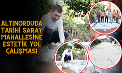 Altınordu’da Tarihi Saray Mahallesi’ne Estetik Yol Çalışması