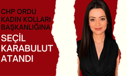 CHP Ordu Kadın Kolları Başkanlığına Seçil Karabulut Atandı