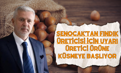 Şenocak’tan Fındık Üreticisi İçin Uyarı: Üretici Ürüne Küsmeye Başlıyor