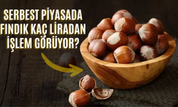 Serbest Piyasada Fındık Kaç Liradan İşlem Görüyor?