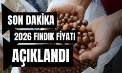 SON DAKİKA! 2026 Fındık Fiyatı Açıklandı!