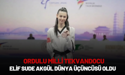 Ordulu Milli Tekvandocu Elif Sude Akgül Dünya Üçüncüsü Oldu