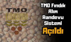 TMO Fındık Alım Randevu Sistemi Açıldı