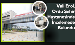 Vali Erol, Ordu Şehir Hastanesinde İncelemede Bulundu