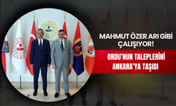 Mahmut Özer Arı Gibi Çalışıyor! Ordu’nun Taleplerini Ankara’ya Taşıdı