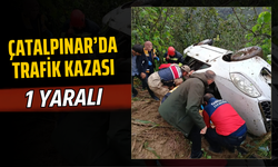 ÇATALPINAR’DA TRAFİK KAZASI: 1 YARALI