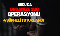 Ordu’da Organize Suç Operasyonu: 4 Şüpheli Tutuklandı