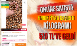 ONLİNE SATIŞTA FINDIK FİYATI ŞAŞIRTTI: KİLOGRAMI 510 TL’YE GELDİ
