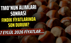 TMO’nun Alımları Sonrası Fındık Fiyatlarında Son Durum? 7 Eylül 2026 Fiyatlar…