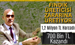 Fındık Üreticisi Zararına Üretiyor: 1,2 Milyon TL Harcadı, 700 Bin TL Kazandı