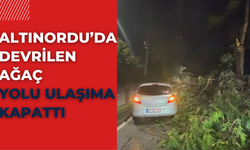 Altınordu’da Devrilen Ağaç Yolu Ulaşıma Kapattı