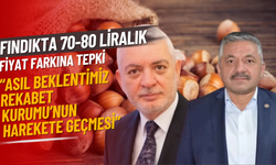 Fındıkta 70-80 Liralık Fiyat Farkına Tepki: “Asıl Beklentimiz Rekabet Kurumu’nun Harekete Geçmesi”