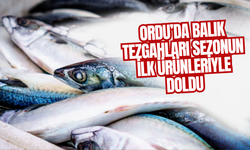 Ordu’da Balık Tezgahları Sezonun İlk Ürünleriyle Doldu