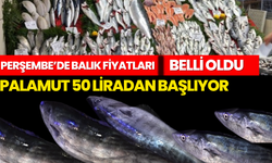 Perşembe’de Balık Fiyatları Belli Oldu: Palamut 50 Liradan Başlıyor