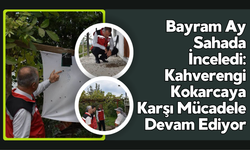 Bayram Ay Sahada İnceledi: Kahverengi Kokarcaya Karşı Mücadele Devam Ediyor