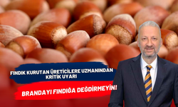 Fındık Kurutan Üreticilere Uzmanından Kritik Uyarı: Brandayı Fındığa Değdirmeyin!