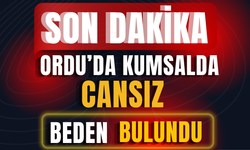 SON DAKİKA: Ordu’da Kumsalda Cansız Beden Bulundu