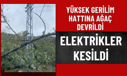 Yüksek Gerilim Hattına Ağaç Devrildi, Elektrikler Kesildi