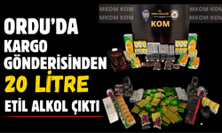 Ordu’da Kargo Gönderisinden 20 Litre Etil Alkol Çıktı