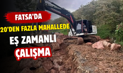 Fatsa’da 20’den Fazla Mahallede Eş Zamanlı Çalışma