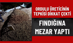 Ordulu Üreticinin Tepkisi Dikkat Çekti: Fındığına Mezar Yaptı