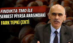 Fındıkta TMO ile Serbest Piyasa Arasındaki Fark Tepki Çekti