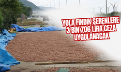 Yola Fındık Serenlere 3 Bin 706 Lira Ceza Uygulanacak